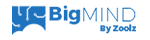 BigMind Coupons